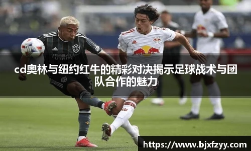 BB贝博艾弗森注册